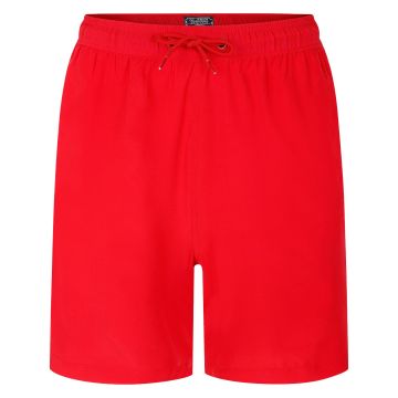 Ed Baxter Mens Big Size Stretch Plain Swim Short
