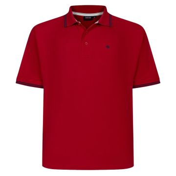 Espionage Mens Big Size Tipped Pique Polo Shirt