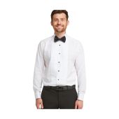 Stitch Pleat Dress Shirt