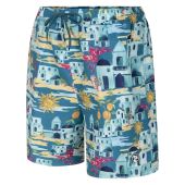 Espionage Mens Big Size Greek Villa Print Swim Short